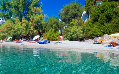 Pelion