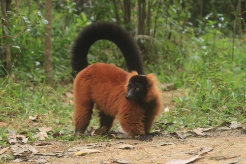 ���������� - ���� ��������� ����������� �� ���������� ������ ���� 2025